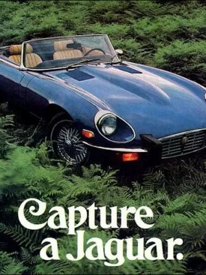 jaguar