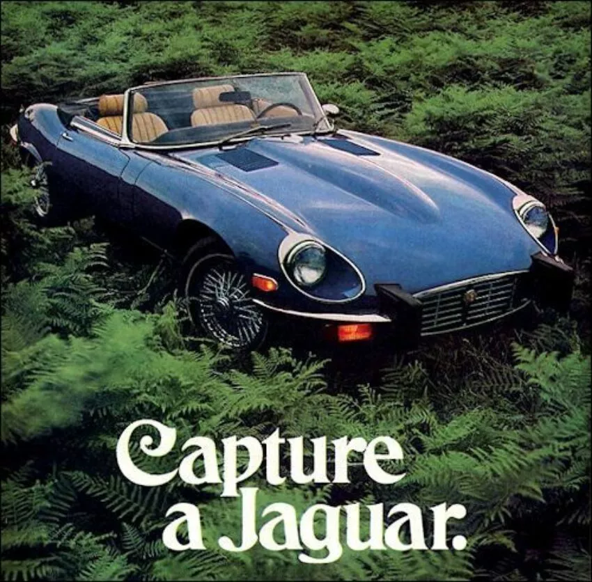 jaguar 