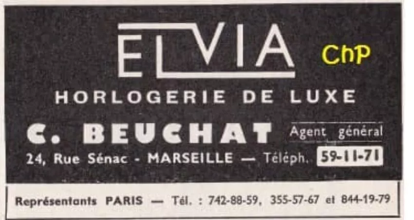 evlia-pub 