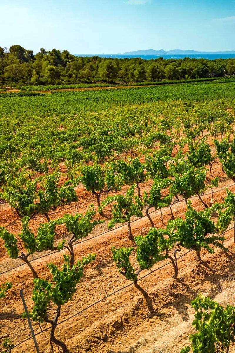 provence