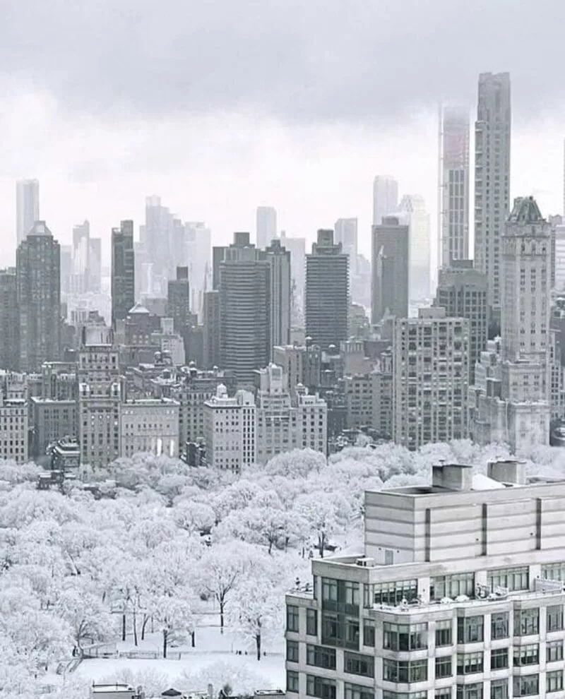 new-york-winter